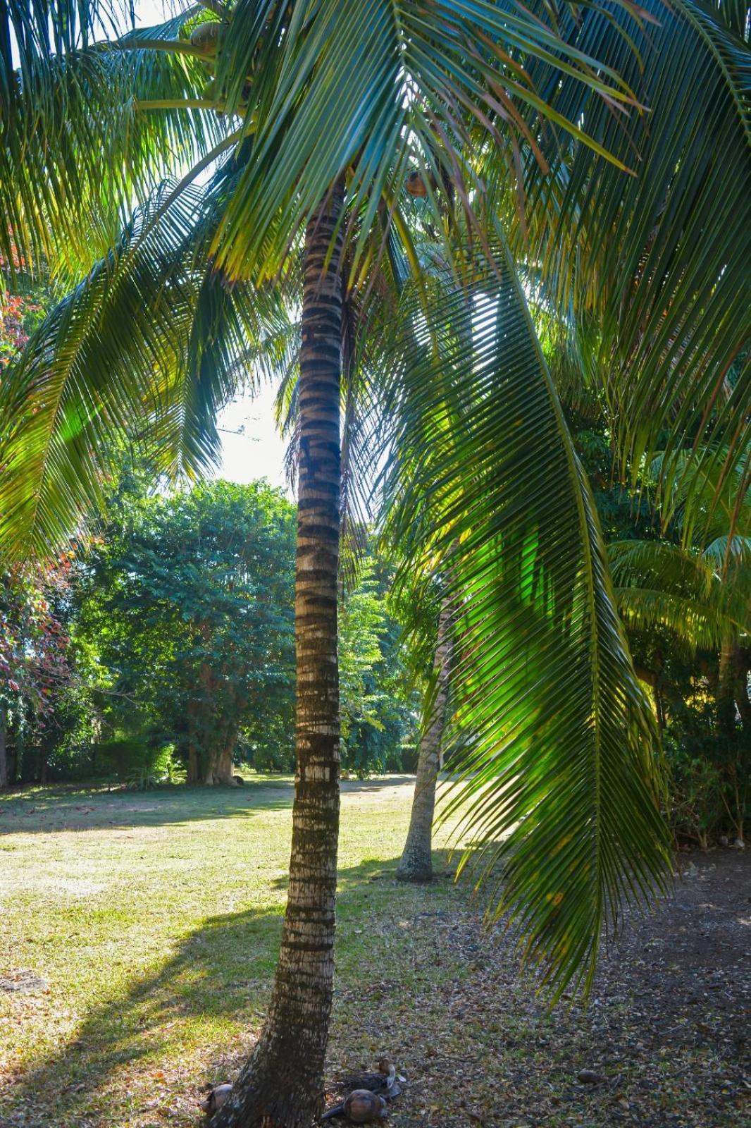 Wolmar Flic En Flac 3 Bedroom Beach Villa Bagian luar foto